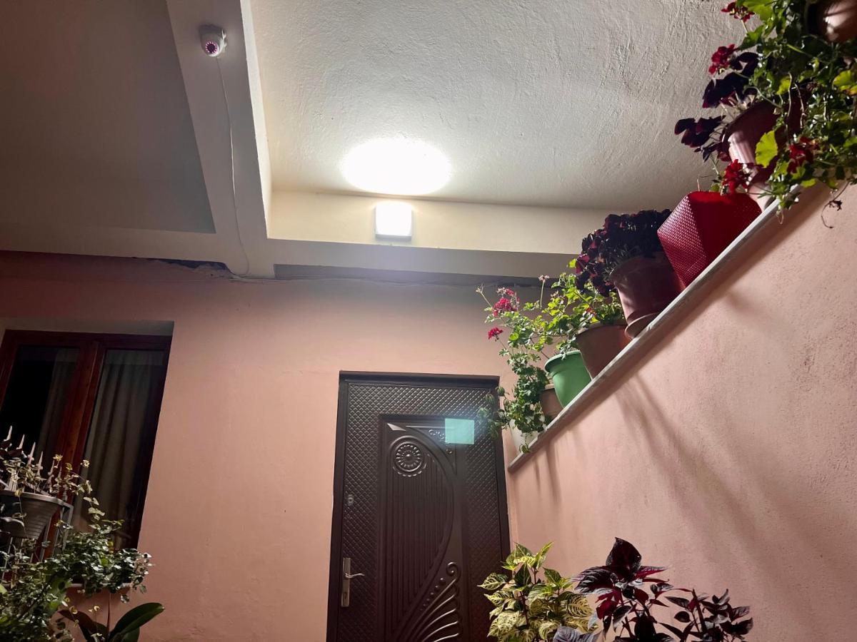Villa Ensalv Berat - Apartment - Room - Penthouse المظهر الخارجي الصورة