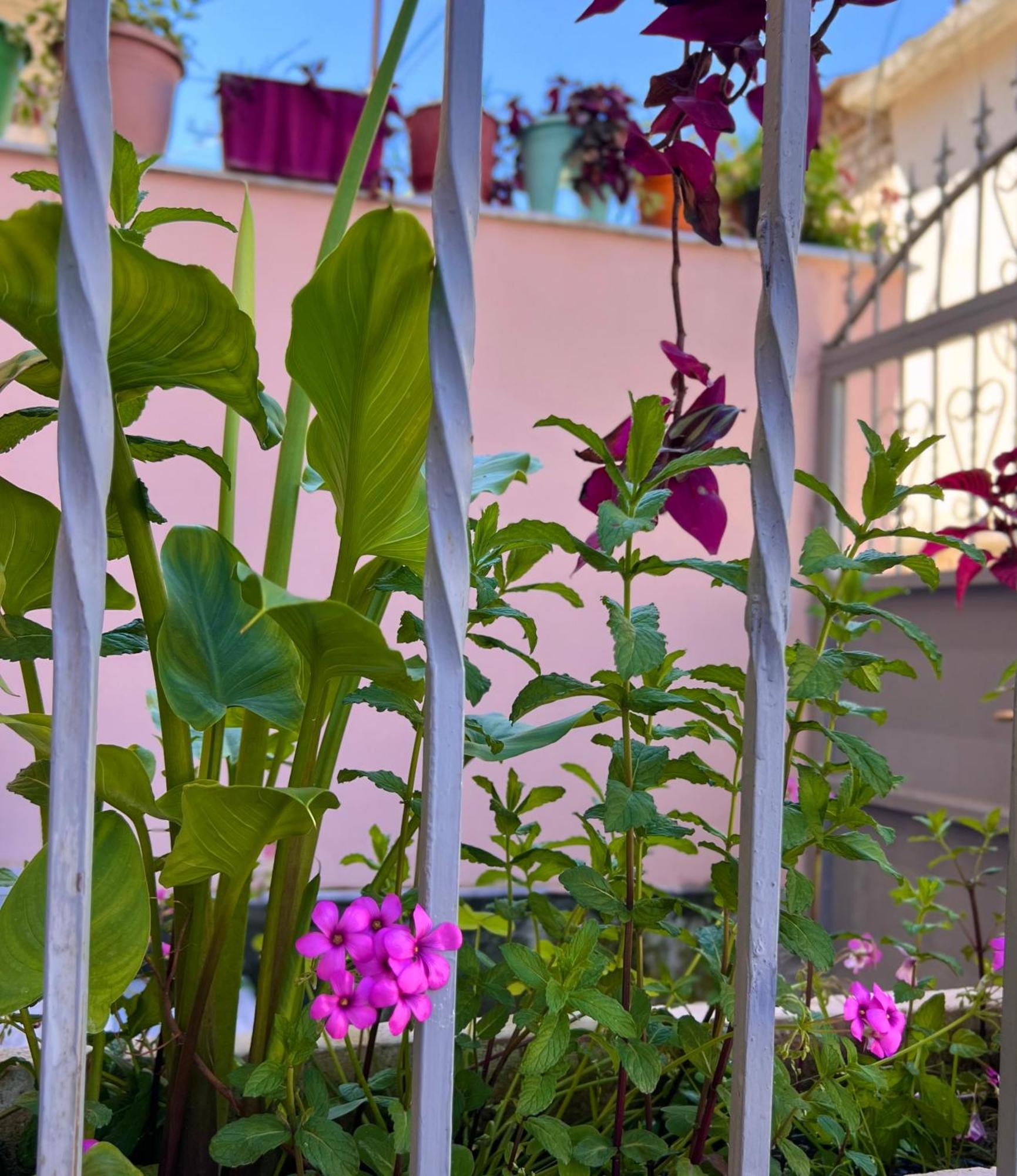 Villa Ensalv Berat - Apartment - Room - Penthouse المظهر الخارجي الصورة