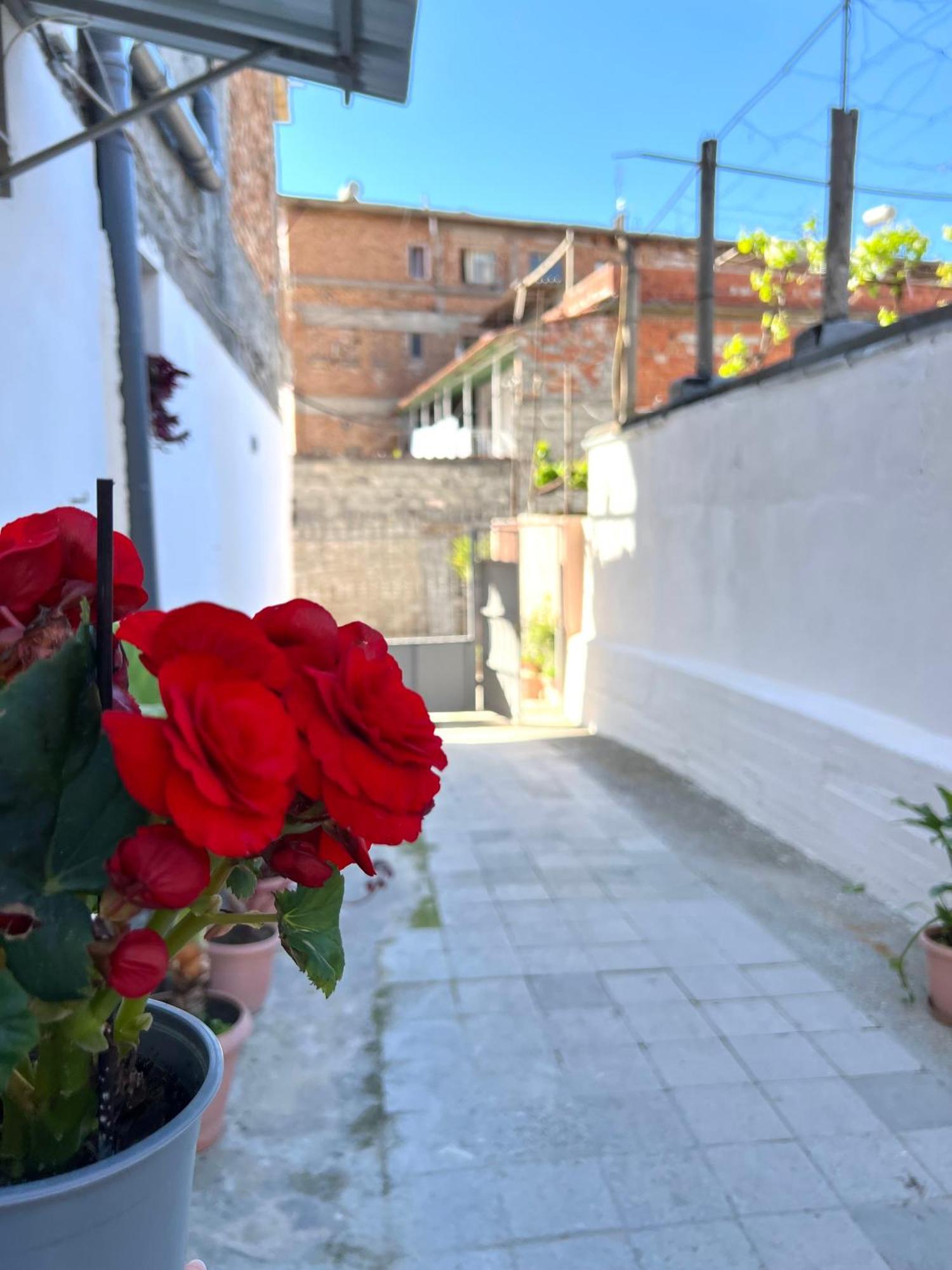 Villa Ensalv Berat - Apartment - Room - Penthouse المظهر الخارجي الصورة