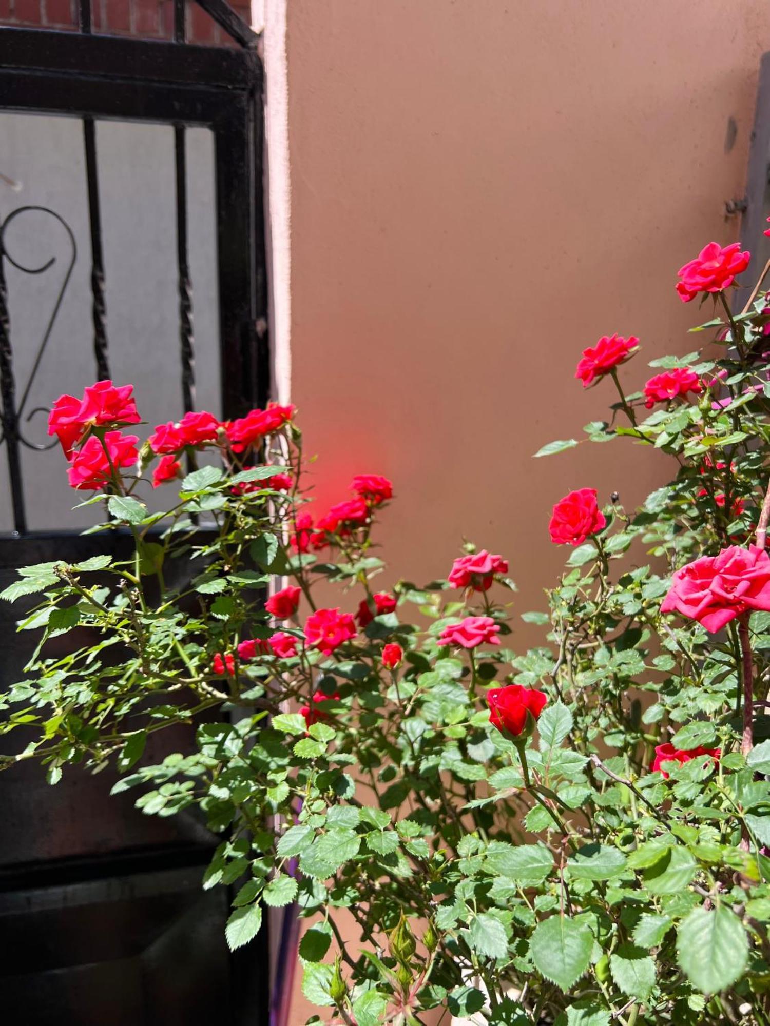 Villa Ensalv Berat - Apartment - Room - Penthouse الغرفة الصورة