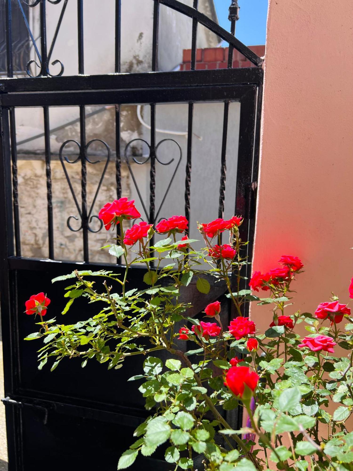 Villa Ensalv Berat - Apartment - Room - Penthouse المظهر الخارجي الصورة